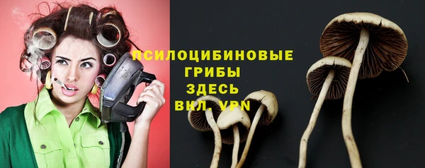 эйфоретик Липки