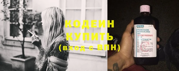 спиды Лиски