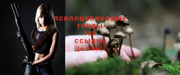 эйфоретик Липки