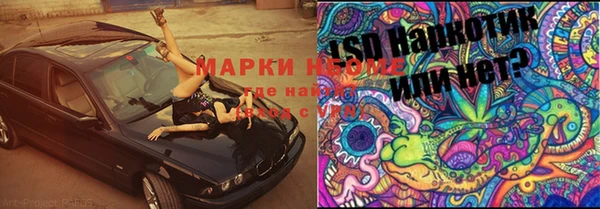 спиды Лиски