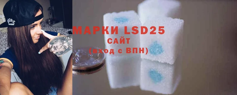 магазин продажи наркотиков  Ардатов  мега зеркало  LSD-25 экстази кислота 